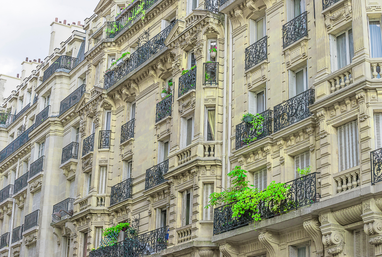 Copro_paris